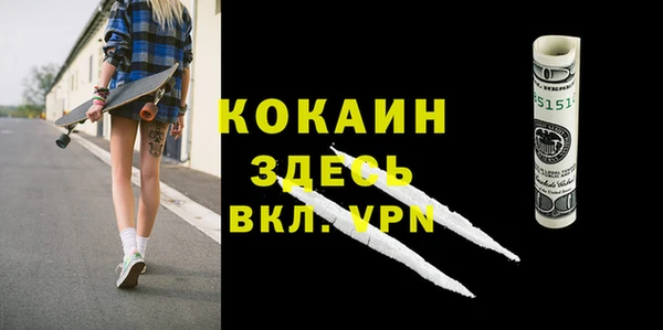 стафф Алексин
