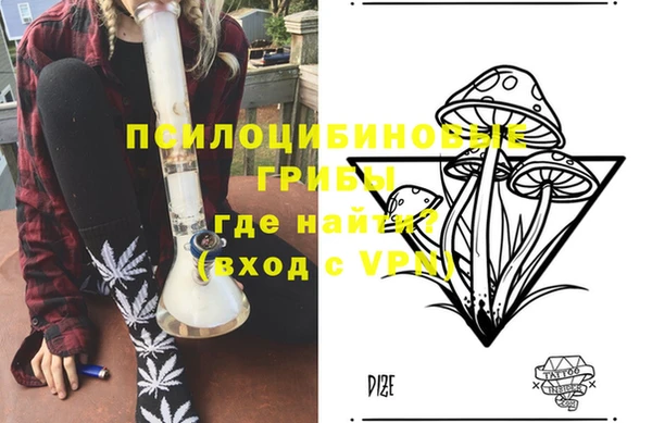 стафф Алексин