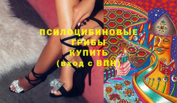 стафф Алексин