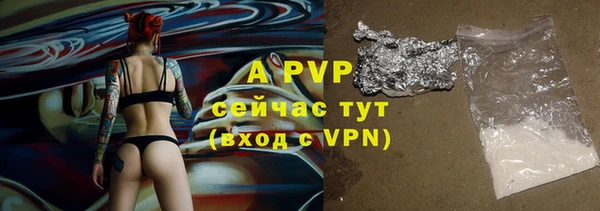 стафф Алексин