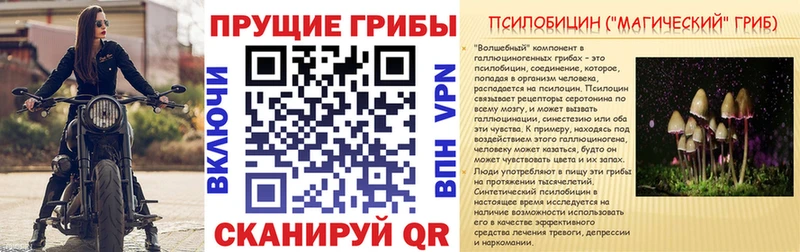 Галлюциногенные грибы Cubensis  Новоузенск 