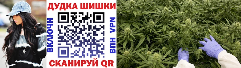 кракен вход  что такое   Новоузенск  МАРИХУАНА Amnesia 